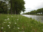 Twentekanaal